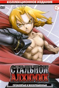  Стальной Алхимик Fullmetal Alchemist 