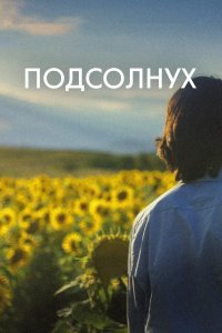  Подсолнух Sunflower 