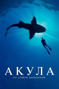  Акула со Стивом Бакшоллом Shark with Steve Backshall 