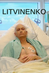  Литвиненко Litvinenko 