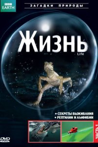  BBC: Жизнь Life (UK) 