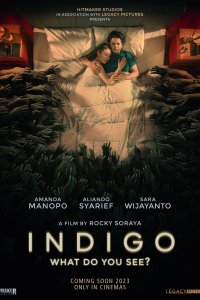  Индиго Indigo 