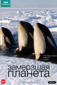  BBC: Замерзшая планета Frozen Planet 